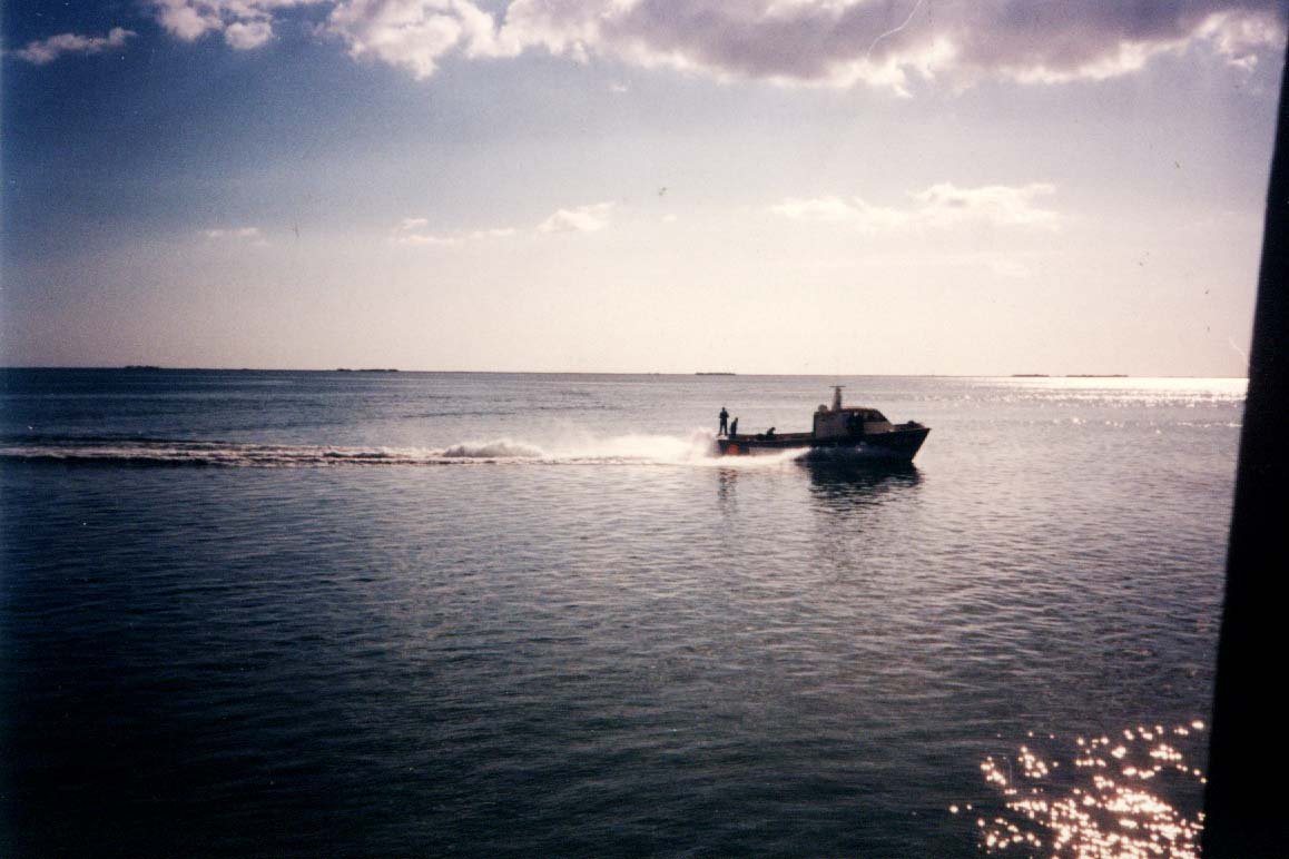 Imagen de Capitol 5 - 1990